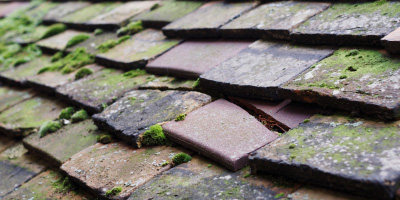 Parslows Hillock roof repair costs